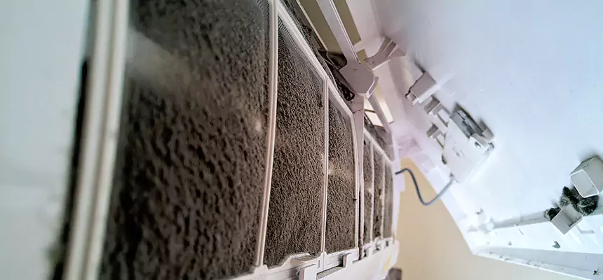 Preventive Air Duct Bacteria Removal in Highland Village