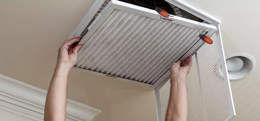 Our Insect Removal from Air Ducts Services in Highland Village, TX