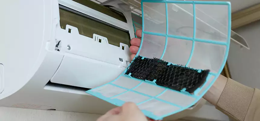 Gentle Ductwork Odor-Control Pet Dander Duct Cleaning in Highland Village, TX