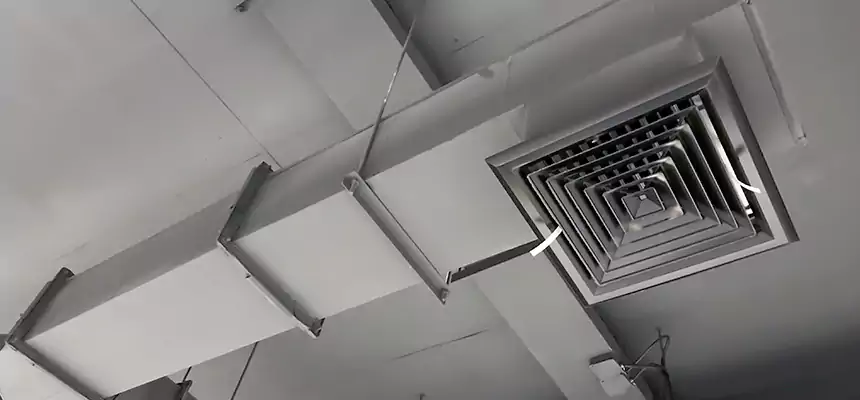 Our Rodent Droppings In Vents Services in Highland Village, TX