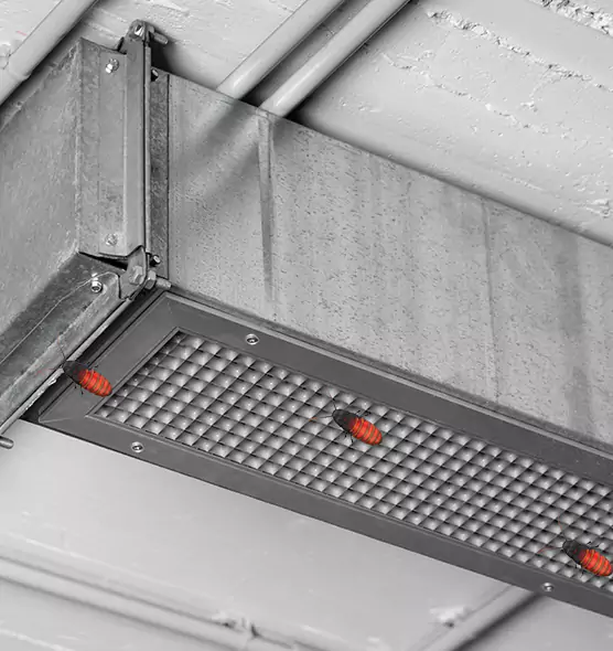 Affordable Insect Removal from Air Ducts in Highland Village, TX