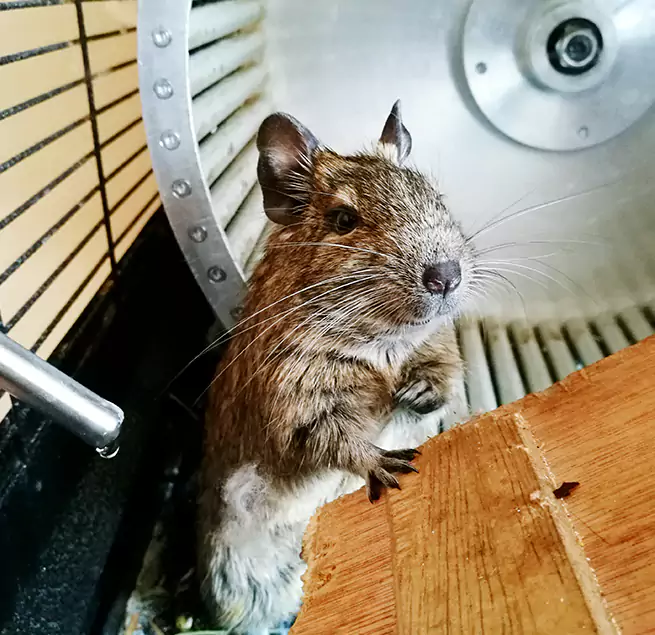 Why Homeowners & Businesses Trust Us Highland Village, TX?