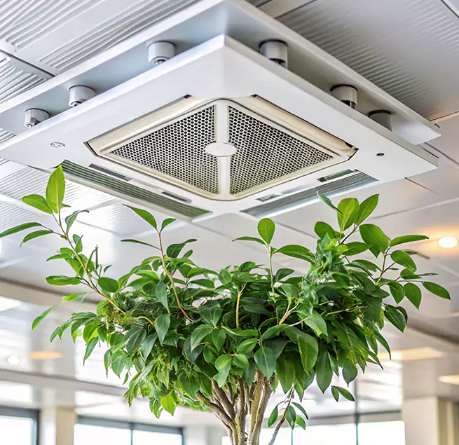 Why Homeowners & Businesses Trust Us in Highland Village, TX?